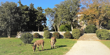 La Bastide, gîte en Provence